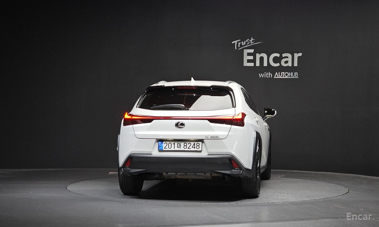 Image 30