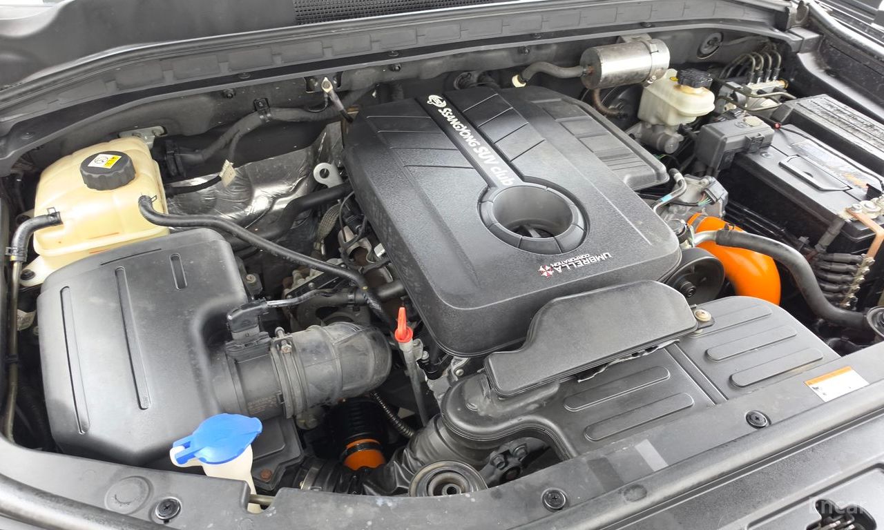 Image 33
