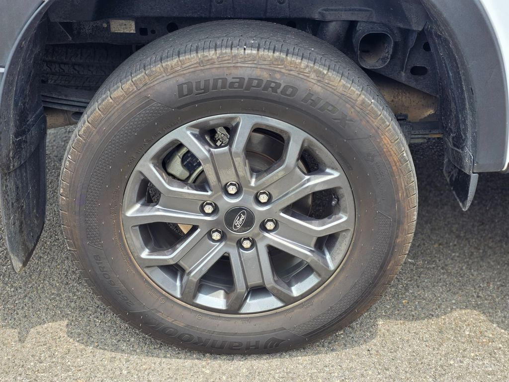 Image 8