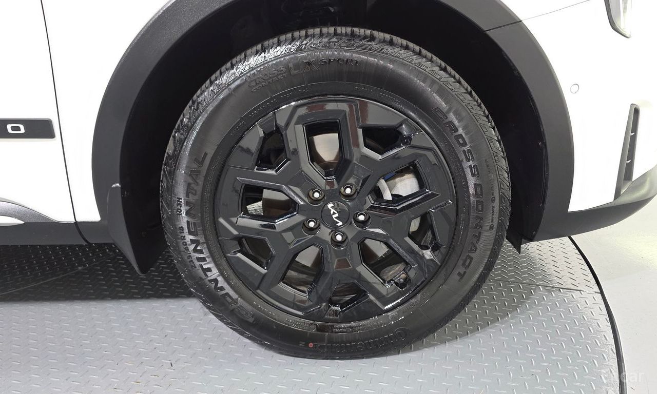 Image 29