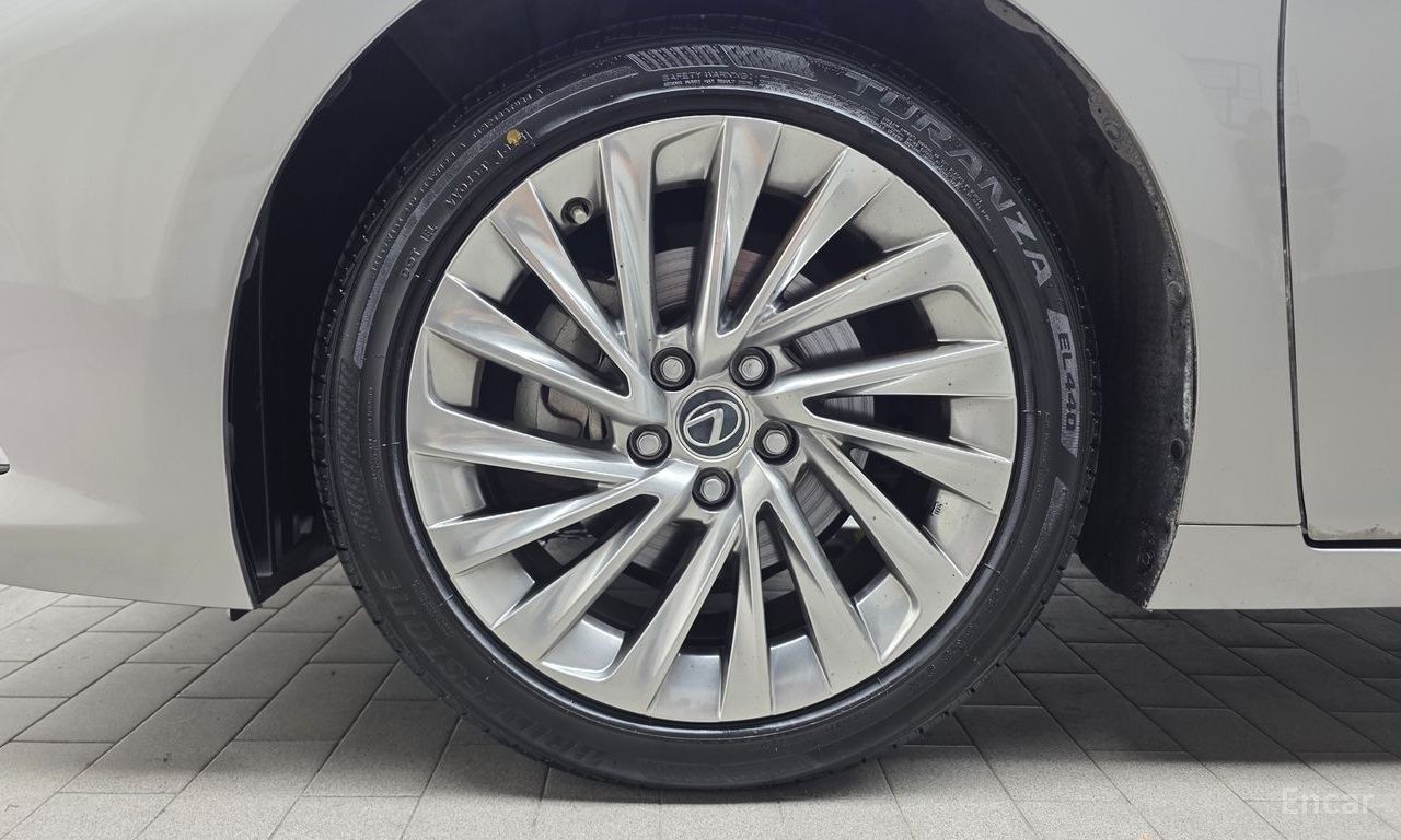 Image 26