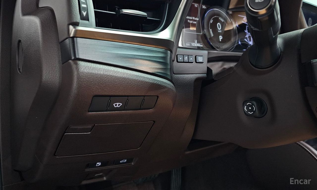 Image 24