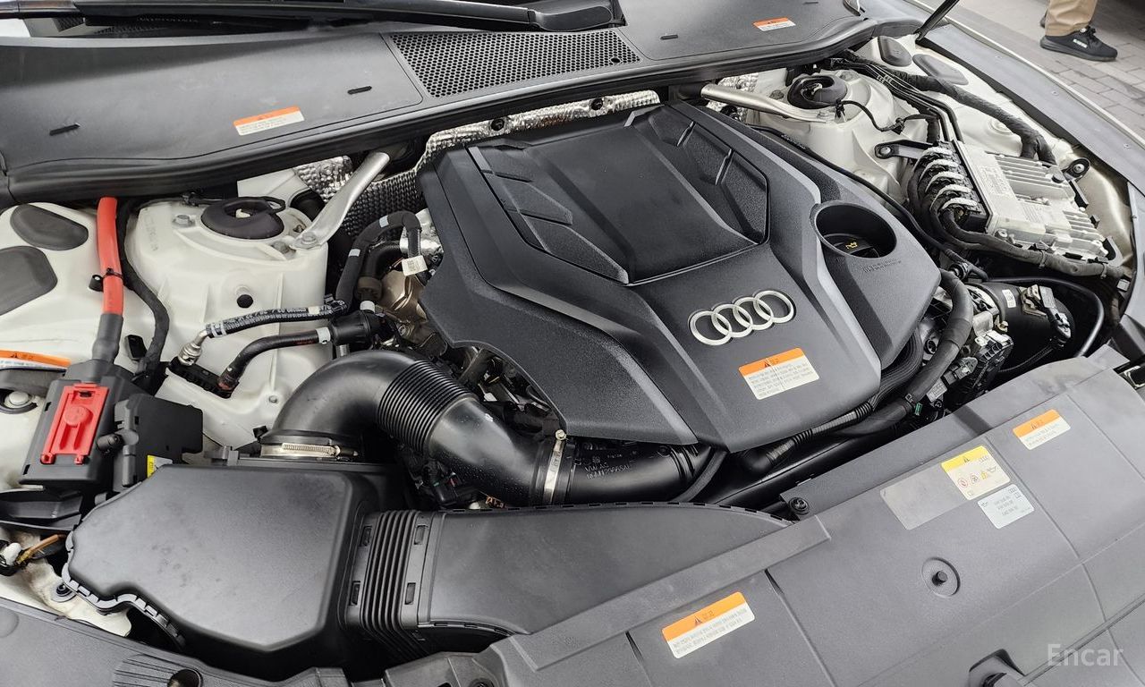 Image 40