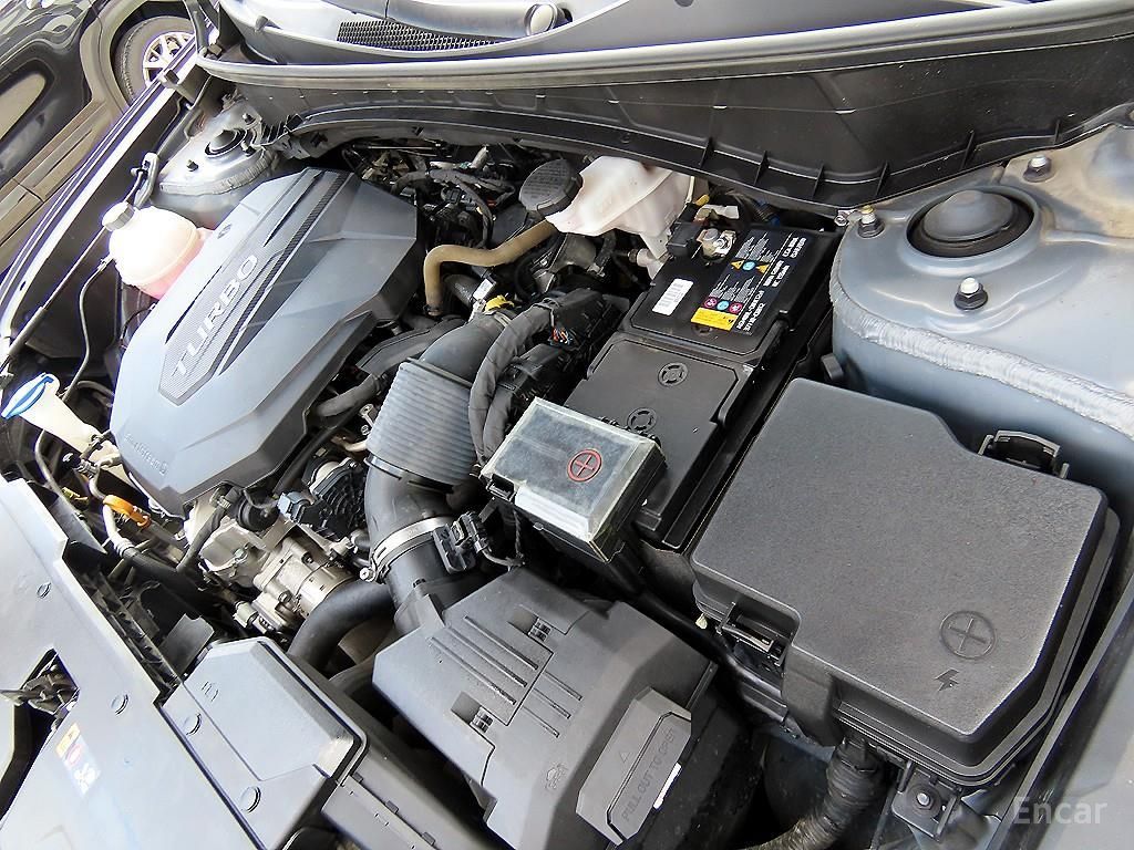 Image 8