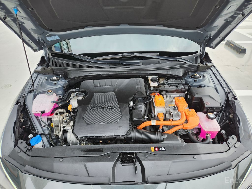 Image 11