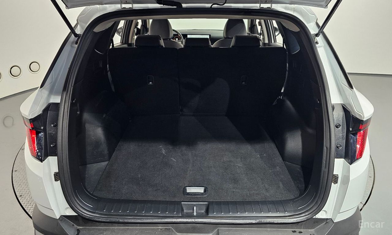 Image 19