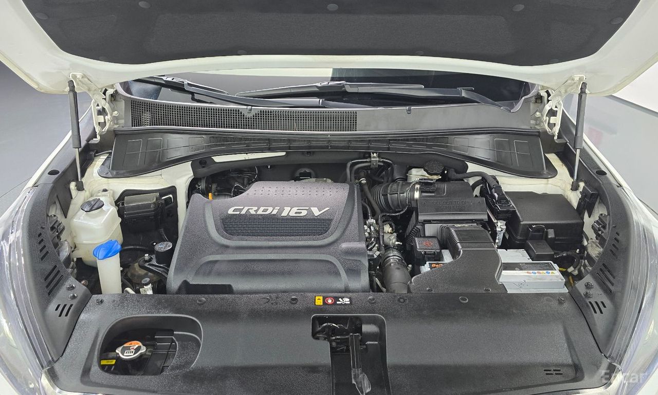 Image 31