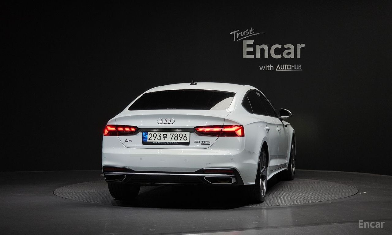 Image 15