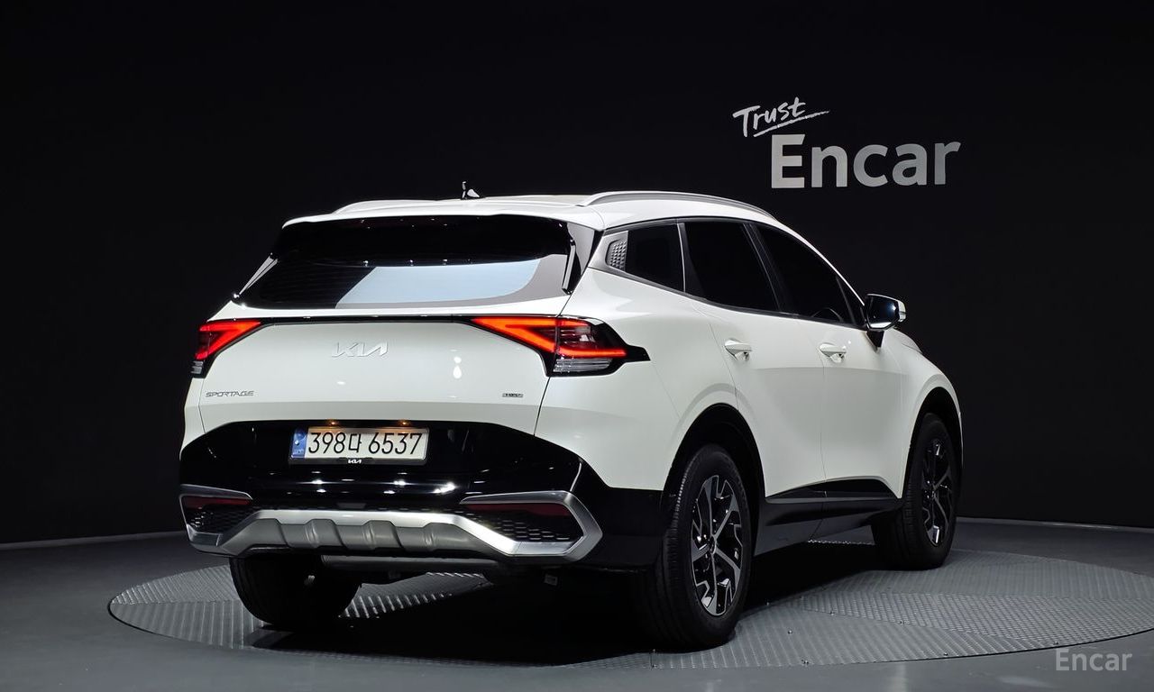 Image 12