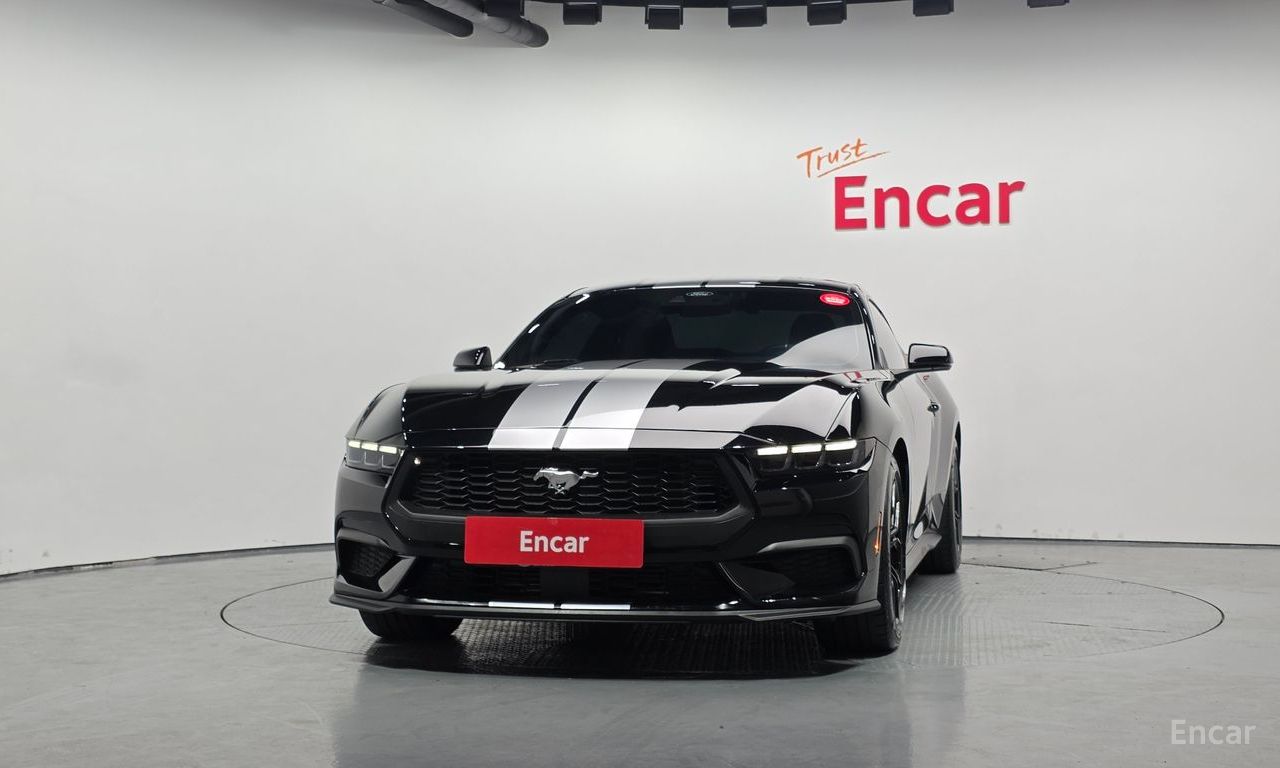 Image 14