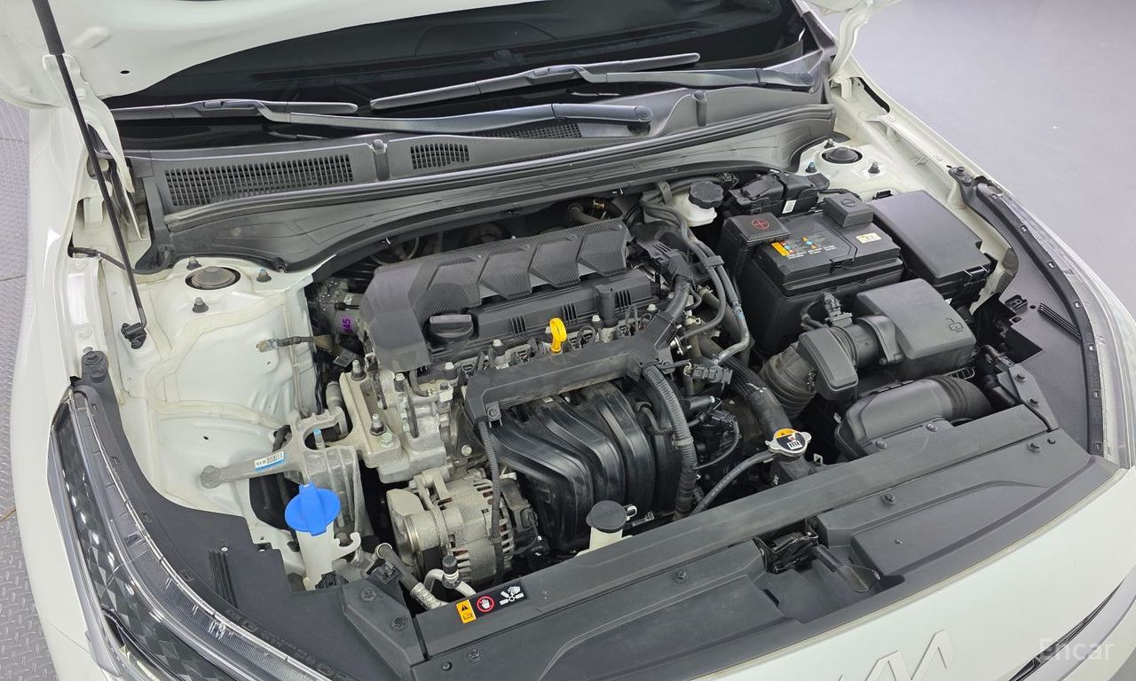 Image 19