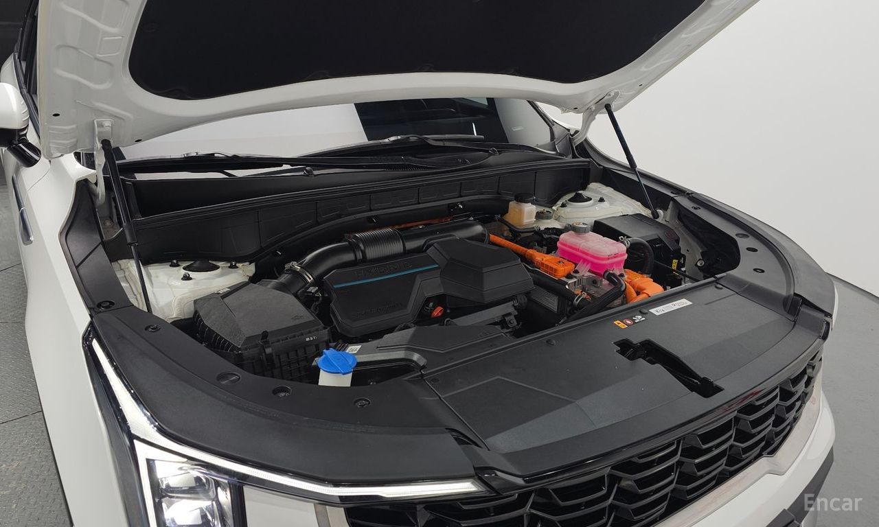 Image 17