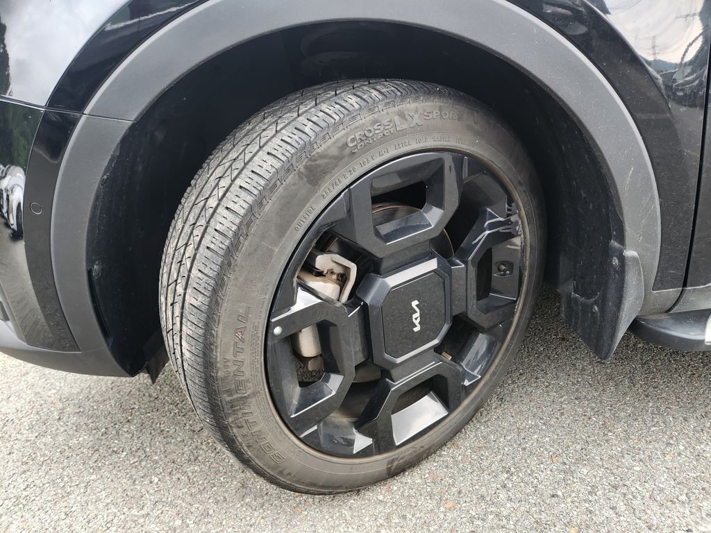 Image 17