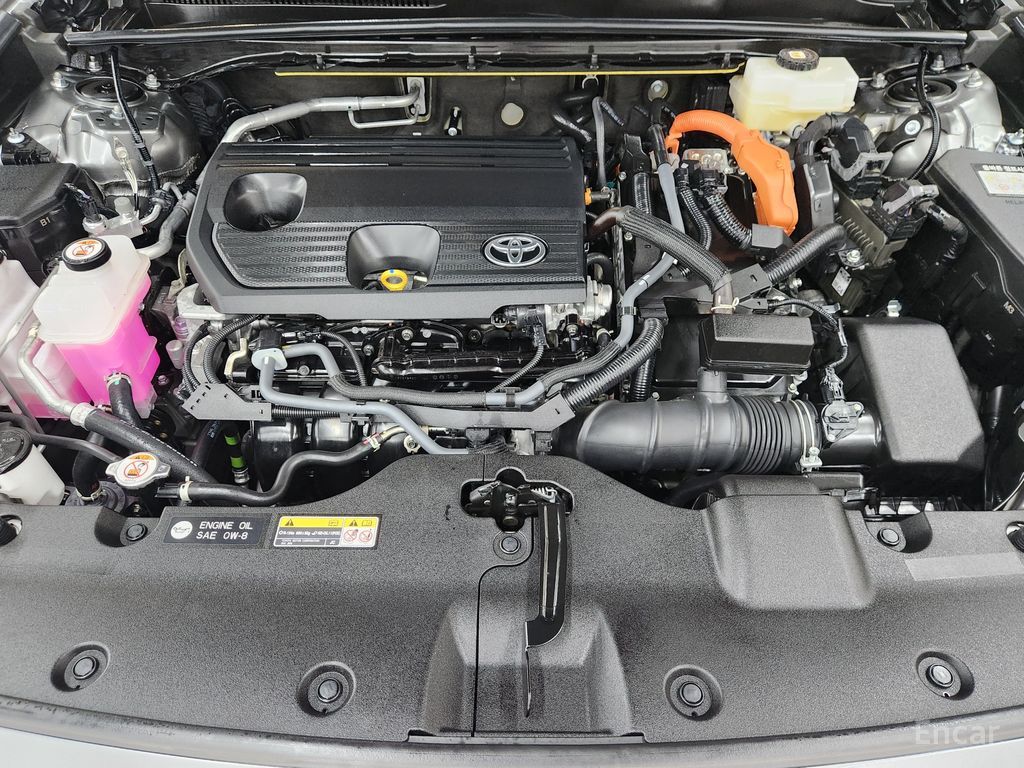 Image 8