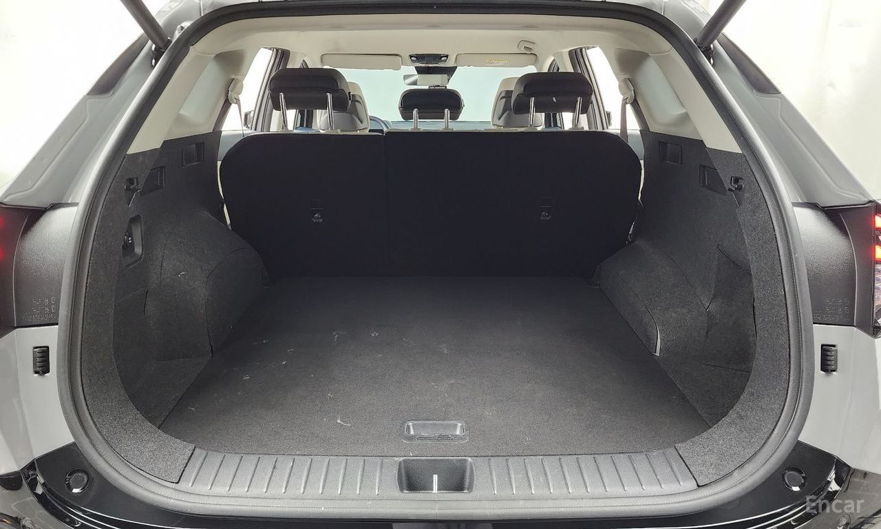 Image 19