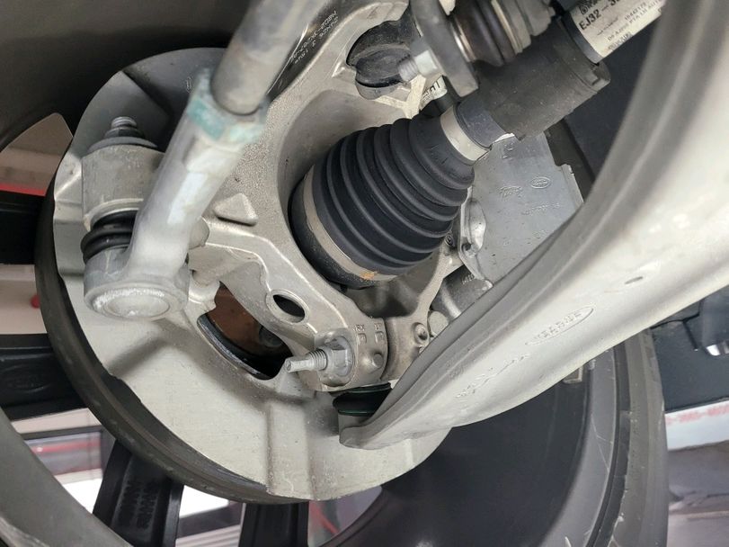 Image 15