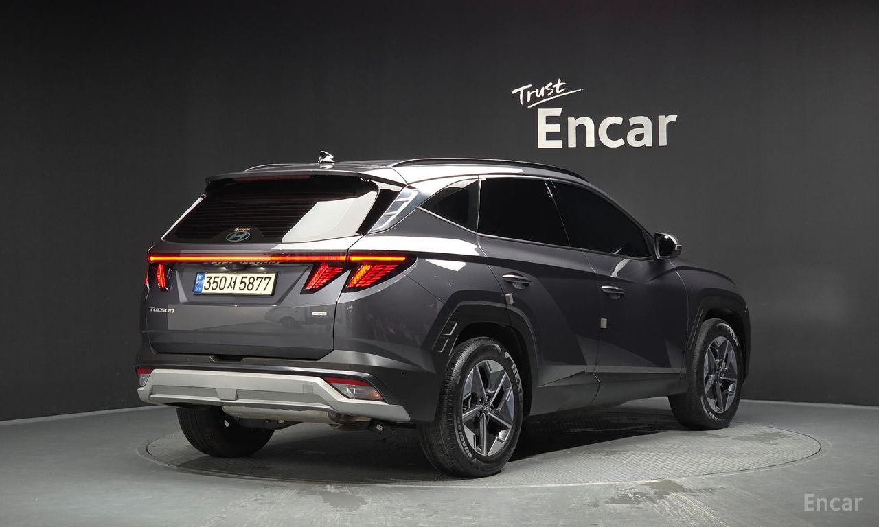 Image 12