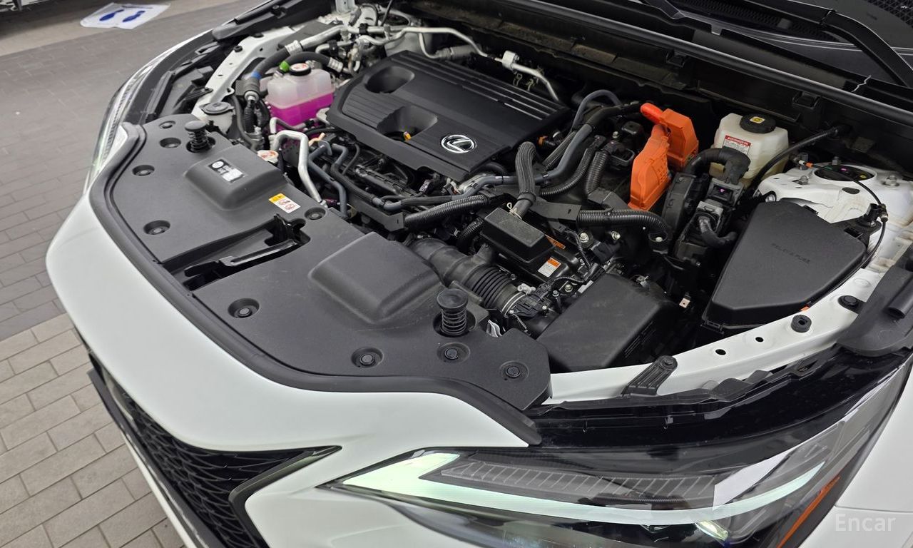Image 17