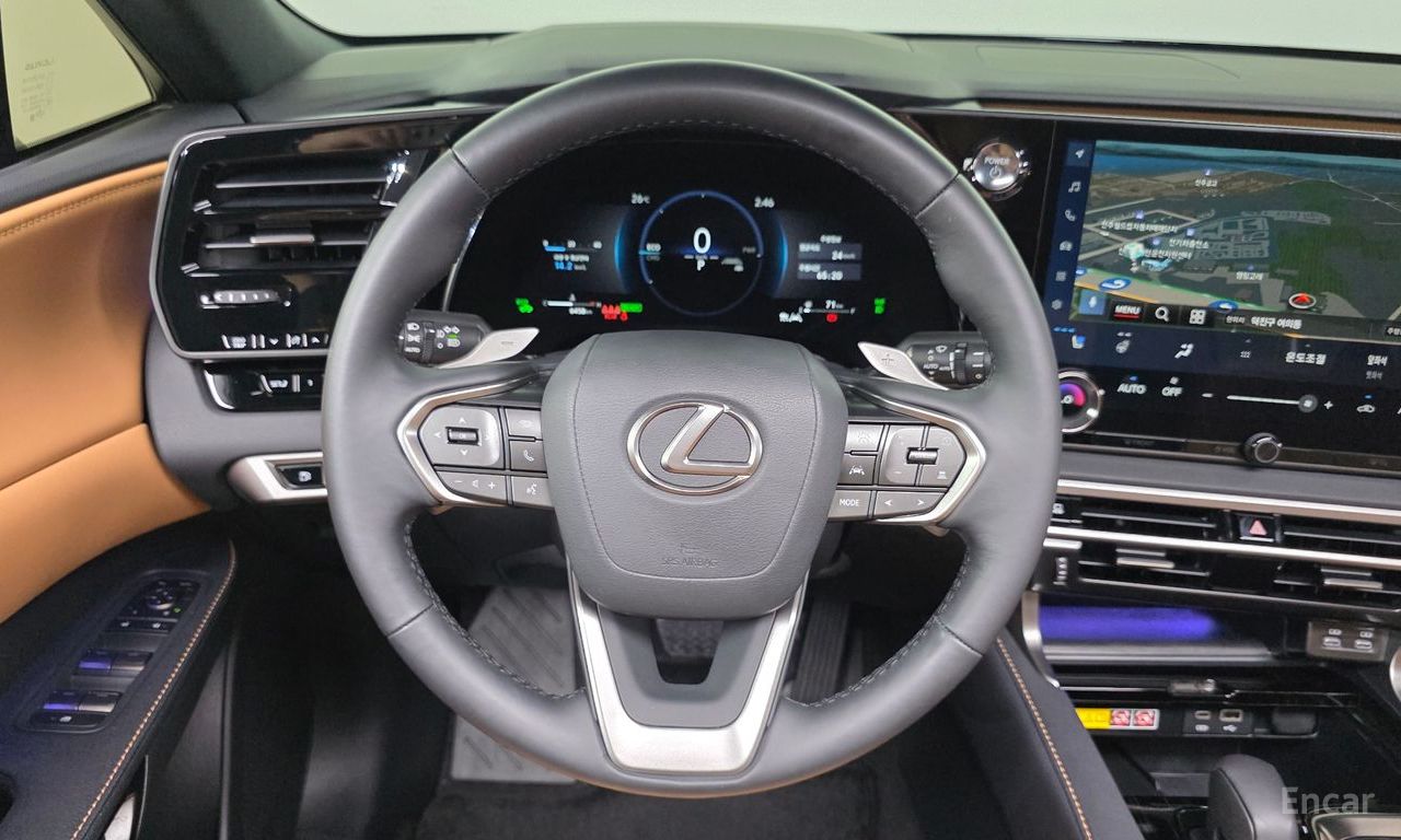Image 13