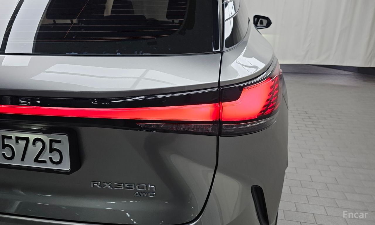Image 37