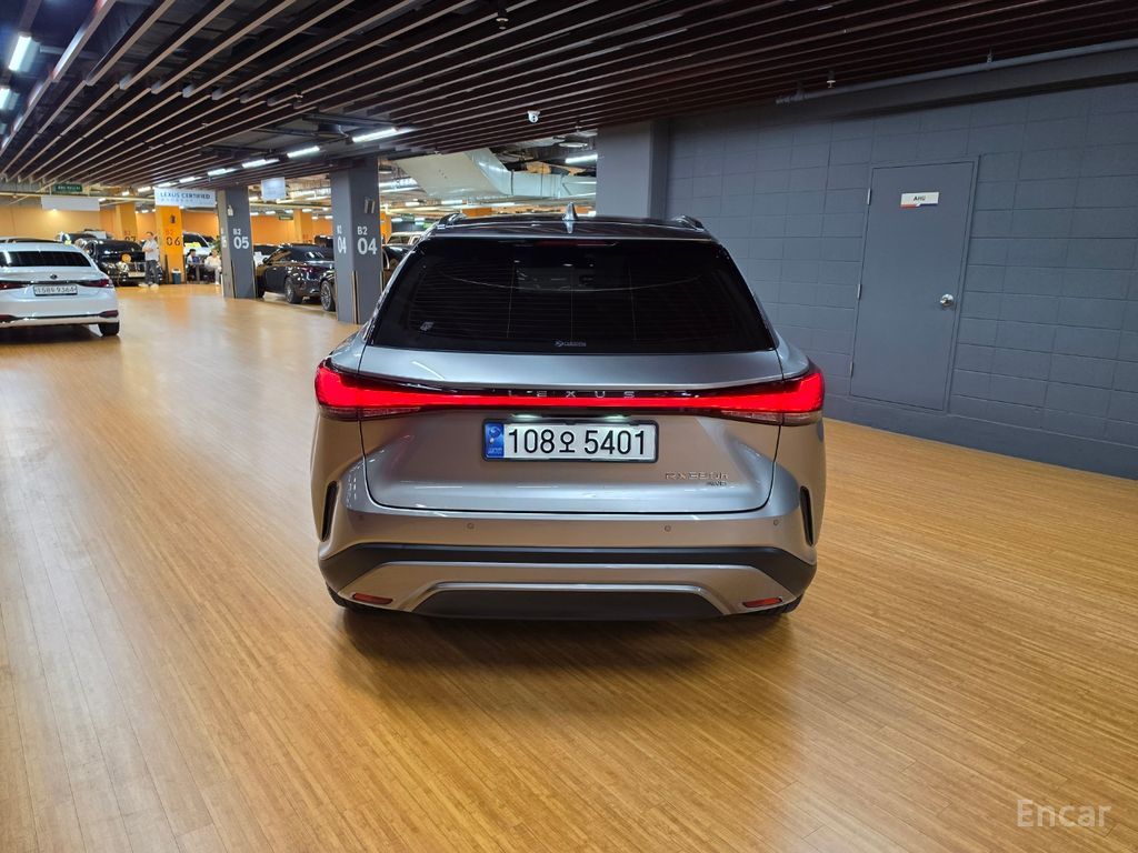 Image 13