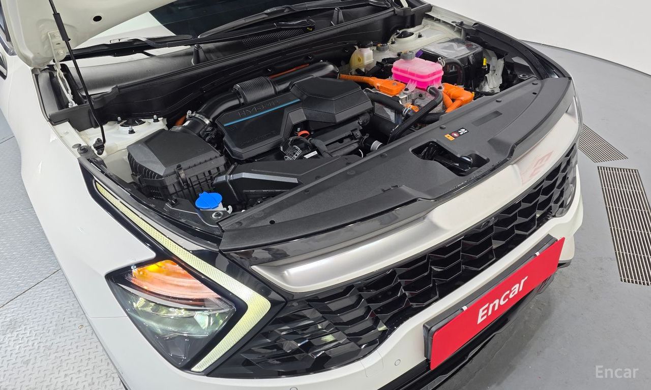 Image 17