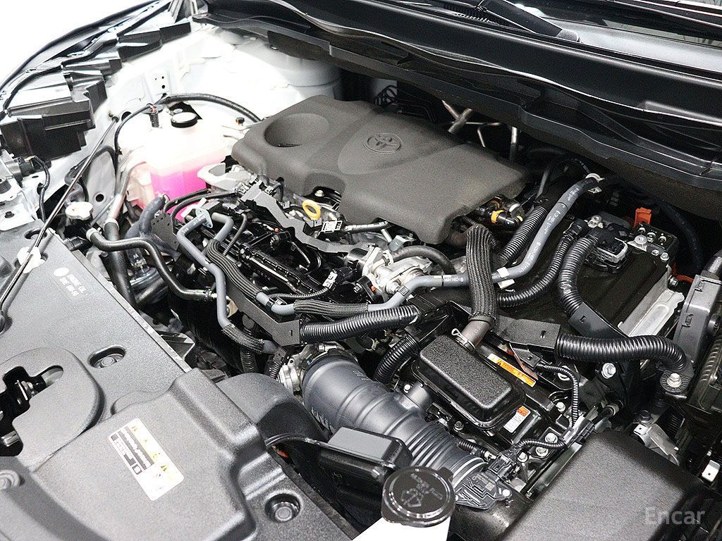 Image 11