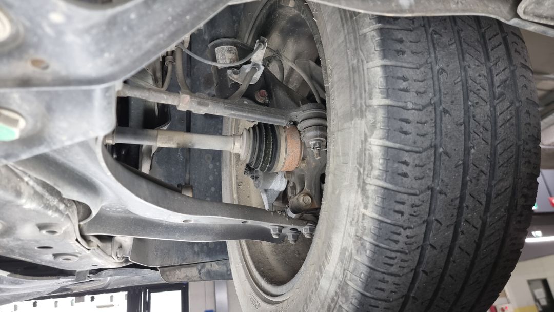 Image 24