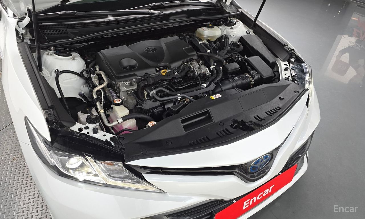 Image 17
