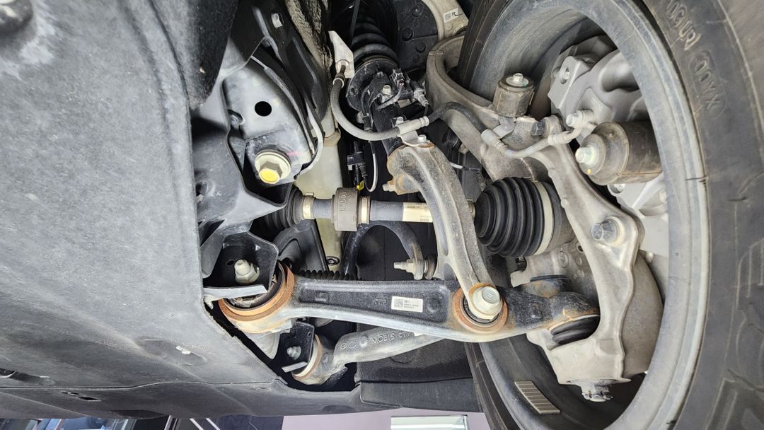 Image 31