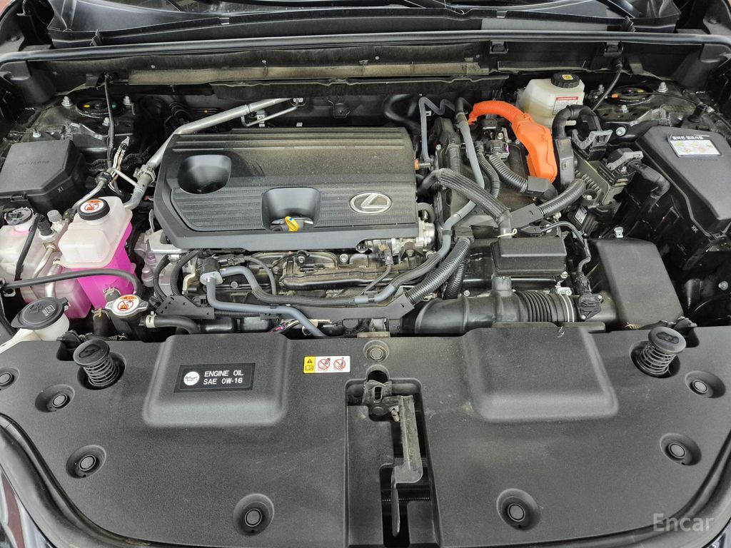 Image 9